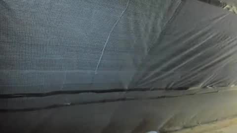 alfiesolomons87 online show from 10.02.25