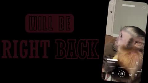 Snapshot of alice_sofia chatting on 03.02.26 Sofia online show from 03.02.26