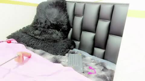 alicee online show from 05.12.26