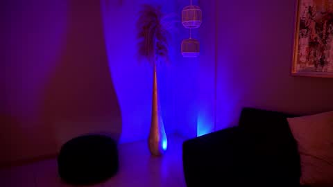 Alice online show from 02.05.26