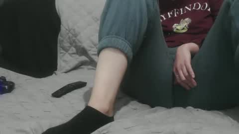 Snapshot of alicerabbithole03 chatting on 01.02.25 Alice online show from 01.02.25