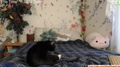 Alice Rivers ---- Enter my public Discord-  online show from 01.18.25