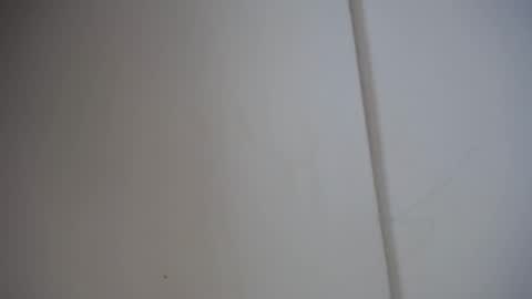 Ali online show from 02.17.25