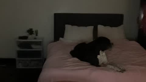 spaceprincess online show from 04.22.26