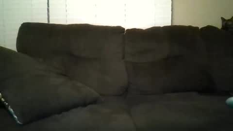 Snapshot of aliendick2274 chatting on 02.24.26 aliendick2274 online show from 02.24.26