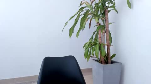 Alice online show from 10.26.25