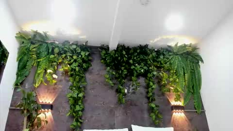 Alice online show from 02.01.26