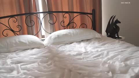 Snapshot of alissa_wxw chatting on 02.19.25 Alissa online show from 02.19.25