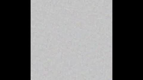 Alisse online show from 02.19.26