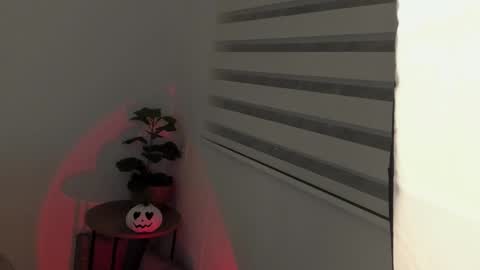 Snapshot of alissonkisses chatting on 10.20.25 alisson online show from 10.20.25