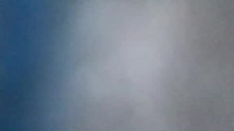 all_most_sane online show from 08.08.26