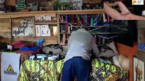 Allan arod online show from 11.14.25