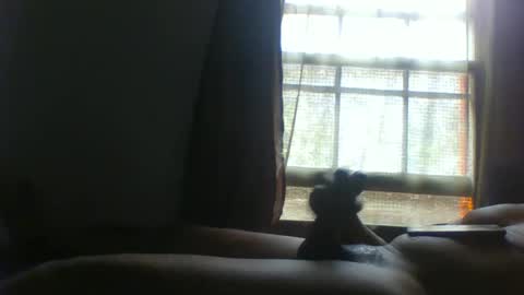 Snapshot of allbermy chatting on 11.11.25 allbermy online show from 11.11.25