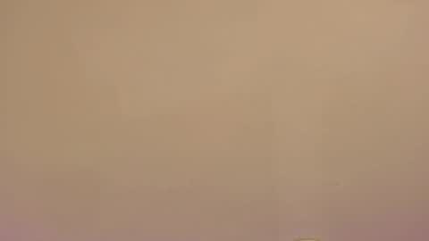    online show from 01.08.26