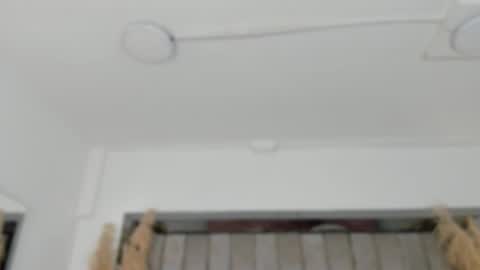    online show from 02.02.26