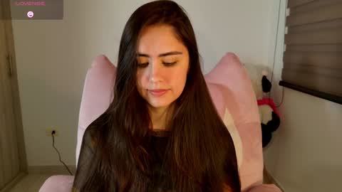 Allison Palmer online show from 01.16.26