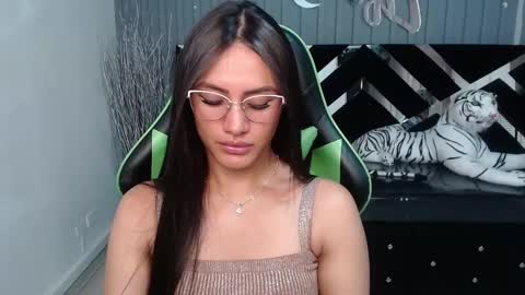 Snapshot of allisson_a chatting on 03.04.25 Allisson online show from 03.04.25