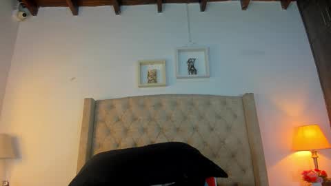 Snapshot of allisson_m chatting on 02.26.26 allisson online show from 02.26.26