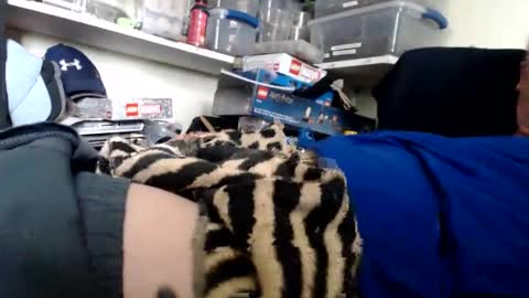 allwolf0323 online show from 03.13.26