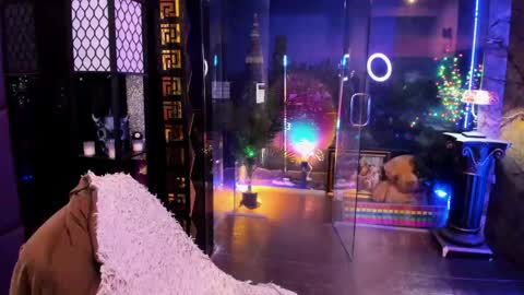 Alma online show from 04.18.26