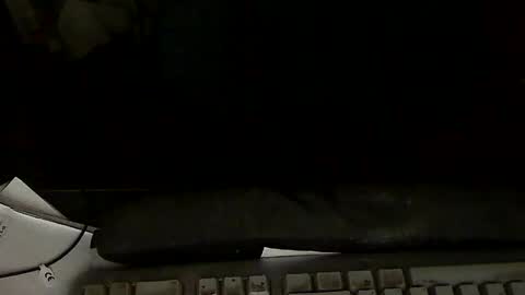 Snapshot of aloooopyscot chatting on 01.13.25 Loooopy online show from 01.13.25