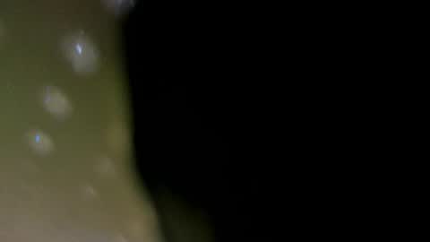 alotta_titties online show from 02.05.26