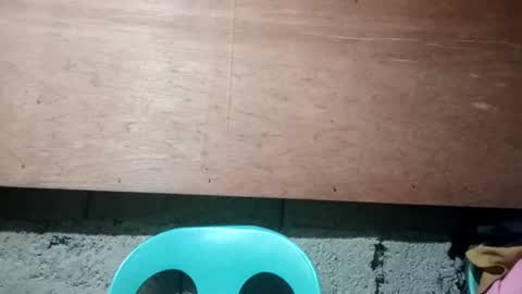 altheahot_asian online show from 12.19.24