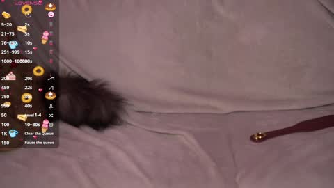 Amanda online show from 12.27.24