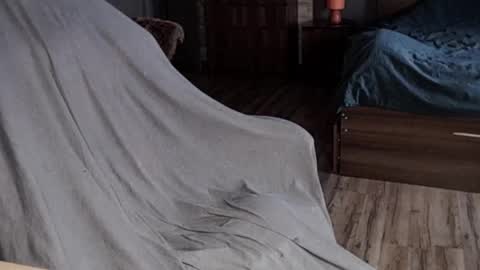 Malina online show from 01.13.25