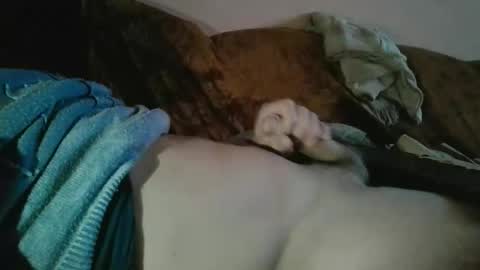 amazingcuteboy845 online show from 10.18.25