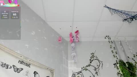 Snapshot of ameli_povilainn chatting on 02.14.26 Ameli online show from 02.14.26