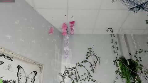 Snapshot of ameli_povilainn chatting on 02.18.26 Ameli online show from 02.18.26