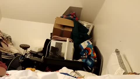 amileamariestar online show from 12.16.24