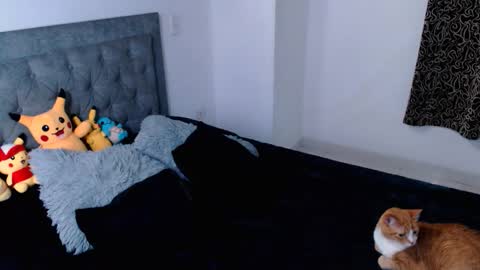 diana online show from 04.16.26