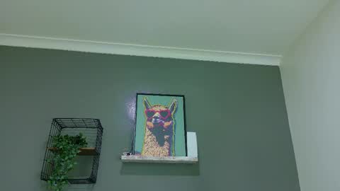 A M M Y  online show from 03.25.26