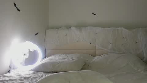 Snapshot of amy1_1 chatting on 10.31.25 amy1_1 online show from 10.31.25