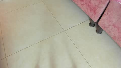 amy__rose__ online show from 05.19.26