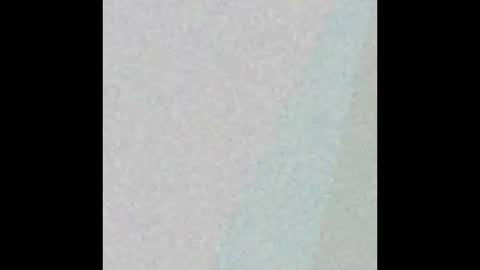 Brenda online show from 03.01.25