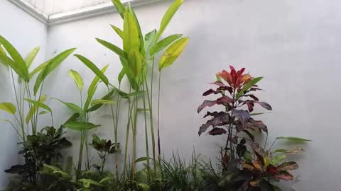 girl next door named Amy online show from 03.02.25