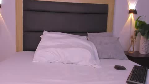 A N A online show from 11.18.25