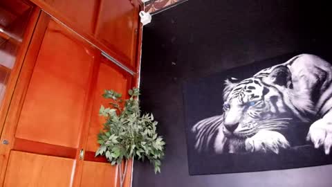 Snapshot of anahi__18 chatting on 02.22.25 Anahi online show from 02.22.25