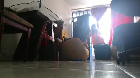 anaids online show from 10.05.25