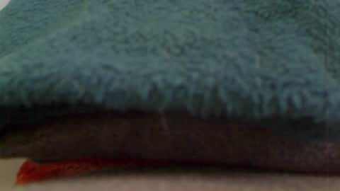 anaiserebel online show from 01.04.25