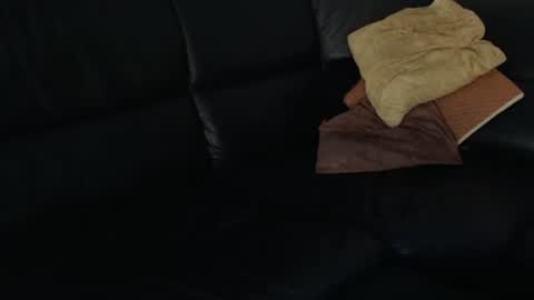 Snapshot of analbottom2 chatting on 02.01.25 analbottom2 online show from 02.01.25