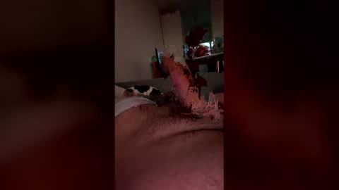 analpunisher2808 online show from 03.09.26