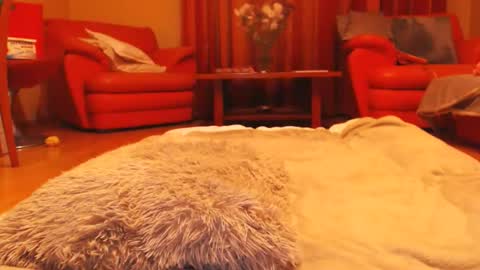 Andra online show from 03.16.26