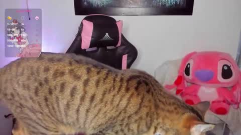 Andrea online show from 03.08.26