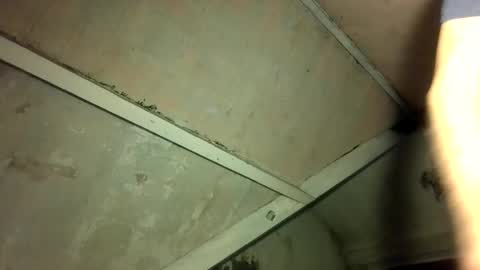Andrew online show from 04.23.26