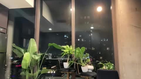 Andylynn Payne online show from 03.20.26