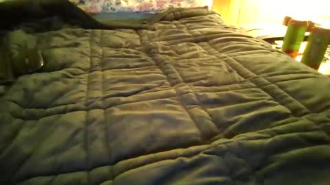 Snapshot of andywan94 chatting on 01.20.25 andywan94 online show from 01.20.25